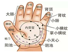 根据中医经络学说，五指各有经络，与脏腑关系密切。如果一个指尖感到特别的疼痛，它表明与这个经络点相关的内脏有问题。